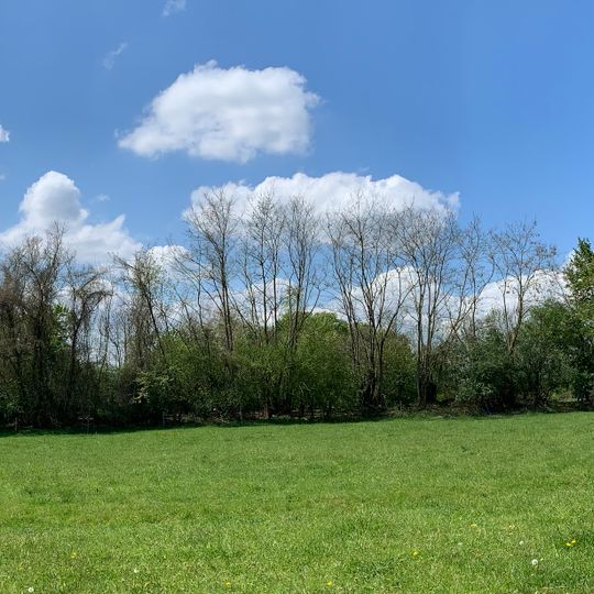 Parkhecke südlicher Teil