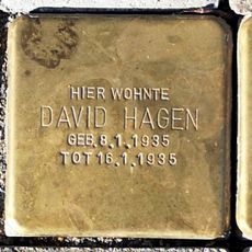 Ester Hagen