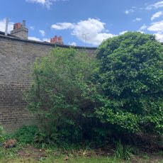 The Brick Wall Joining Number 20 To Number 1 Fair Street