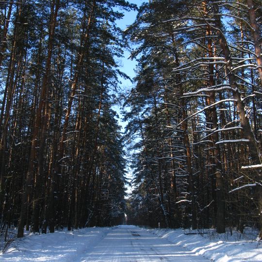 Skrypaivskyi Reserve