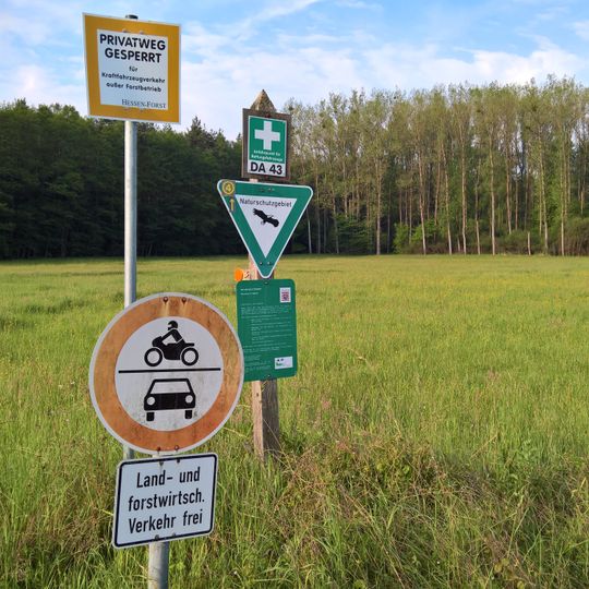 Naturschutzgebiet Neuwiese von Messel