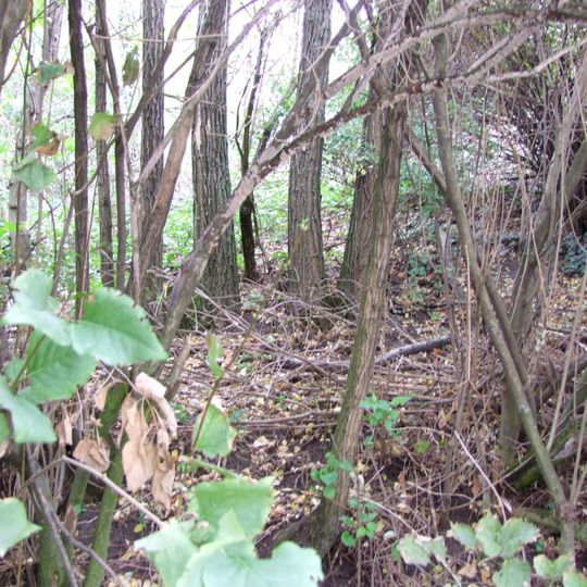 Hügelgrab Kirchberg