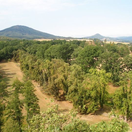 30 dubů tvořících alej podél obvodní zdi při severní straně v oboře Vřísek