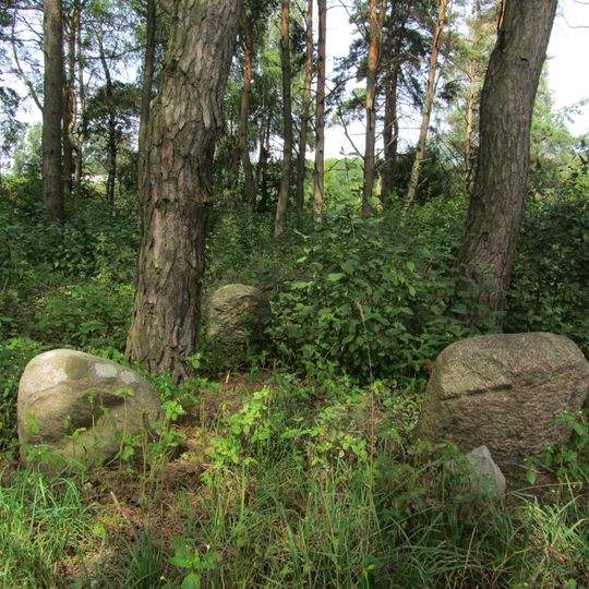 Jewish cemetery in Choroszcz