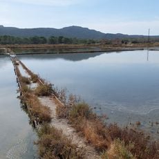 Les Salines de Porto-Vecchio
