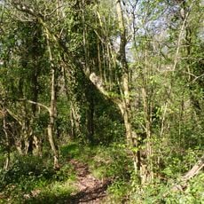 Round Copse