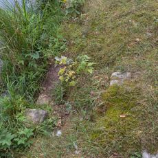 Oberflächenwassereinleitung bei der Schleuse 49