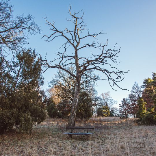 Breitinger Schönrain