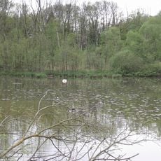 Petite Camargue Alsacienne