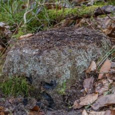Grenzstein Tränkweiher in Fürth