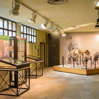 Museo di archeologia e paleontologia "Carlo Conti"