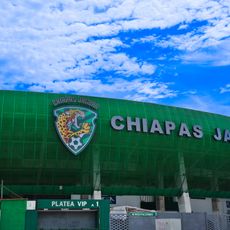 Estadio Víctor Manuel Reyna