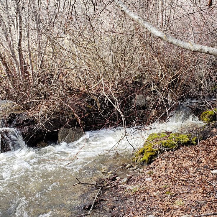 Boise River Greenbelt