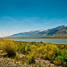 Mann Lake