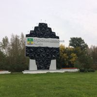 Ordzhonikidzevsky District