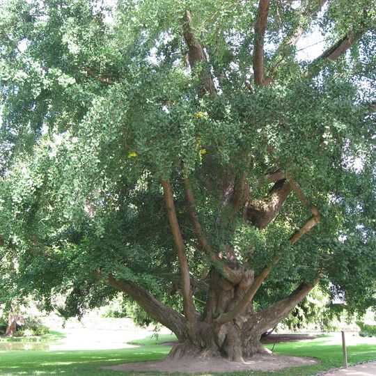Jardín Botánico de Tours