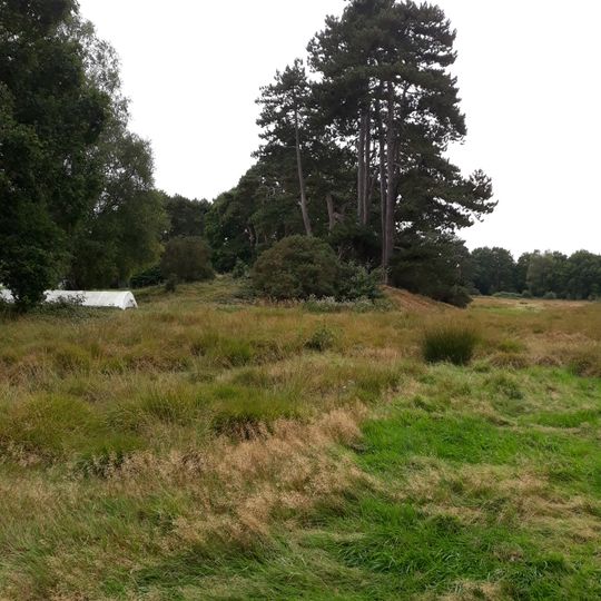 Two bowl barrows 150m south east of the Club House on Petersfield Heath Common, part of the Petersfield Heath Group