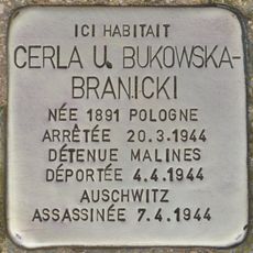 Cerla U. Bukowska-Branicki