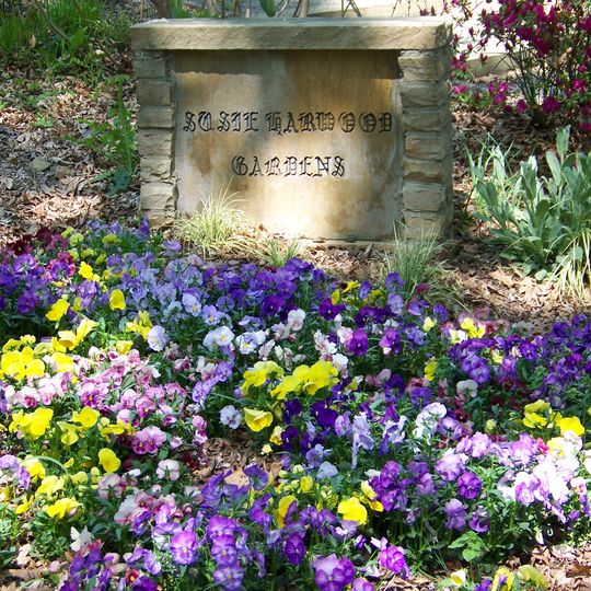 University of North Carolina at Charlotte Botanical Gardens