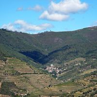 Covas do Douro