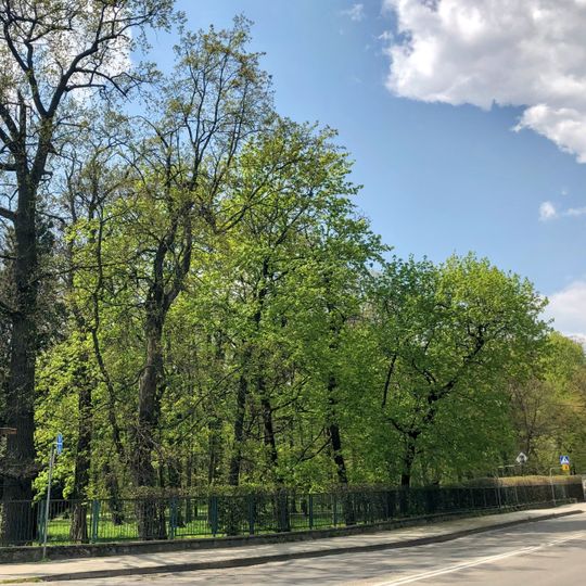 Sanguszko Park in Tarnów