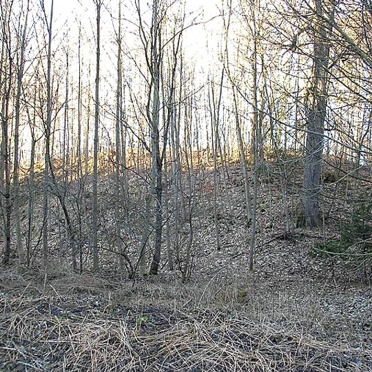 Burgstall im Viehtrieb