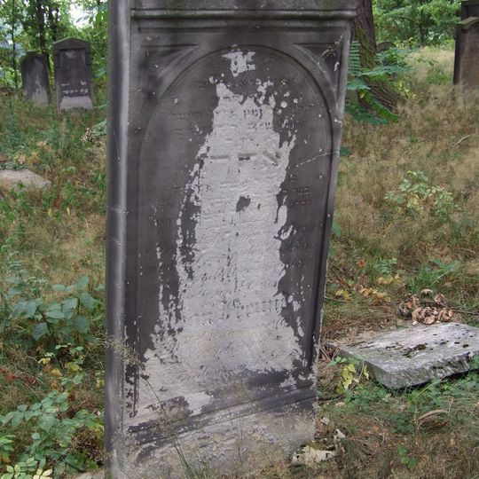 Cmentarz żydowski w Oleśnie