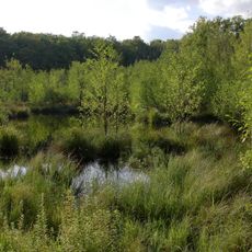 Irtenberger und Guttenberger Wald