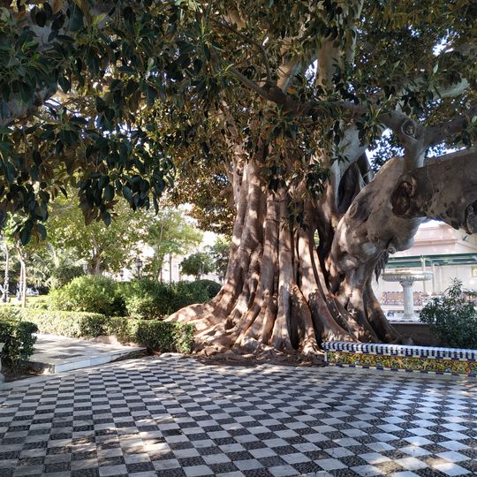 Alameda Apodaca y Marqués de Comillas