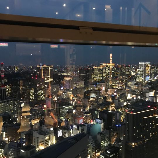 Caretta Shiodome