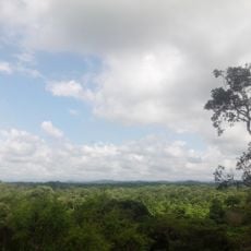 Tumbes National Reserve