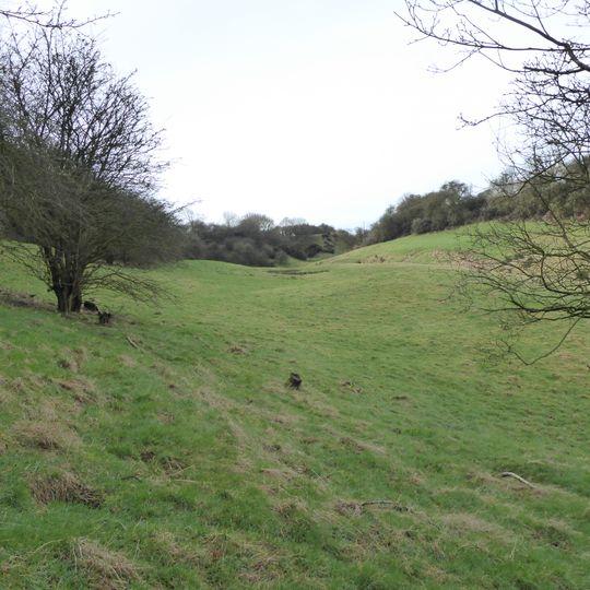 Coombe Hill Hollow