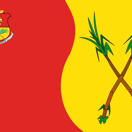 Municipio Campo Elías