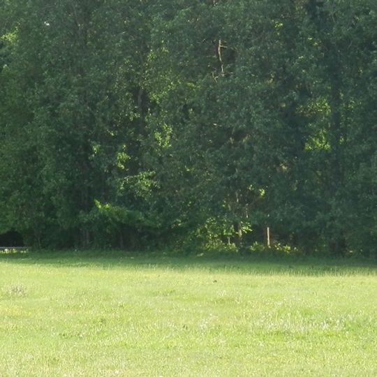 Wólka, Suwałki County