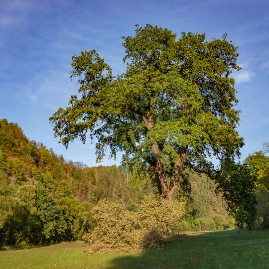 Čejkovický troják