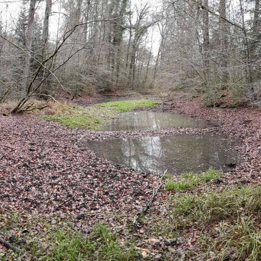Feuchtgebiet im Schweizerbachtal