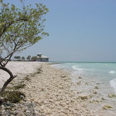 Honeymoon Island State Park