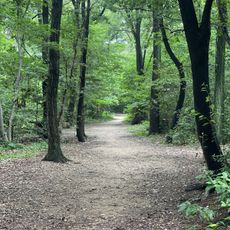Chayagasaka Park