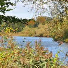 Little Paxton Pits