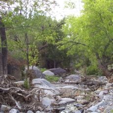 Madera Canyon