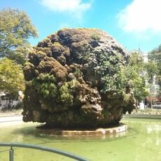 Square Planchon