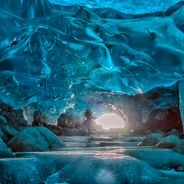 Alaska Gezileri: Doğal Alanlar, Buzullar ve Yaban Hayatı Karşılaşmaları