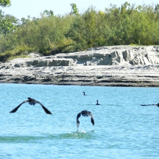 Dibru-Saikhowa-Nationalpark