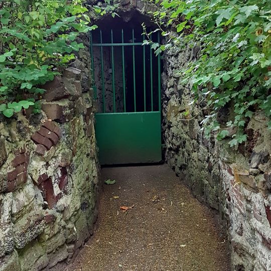 Sint-Michaëlklooster: olijfberggrot