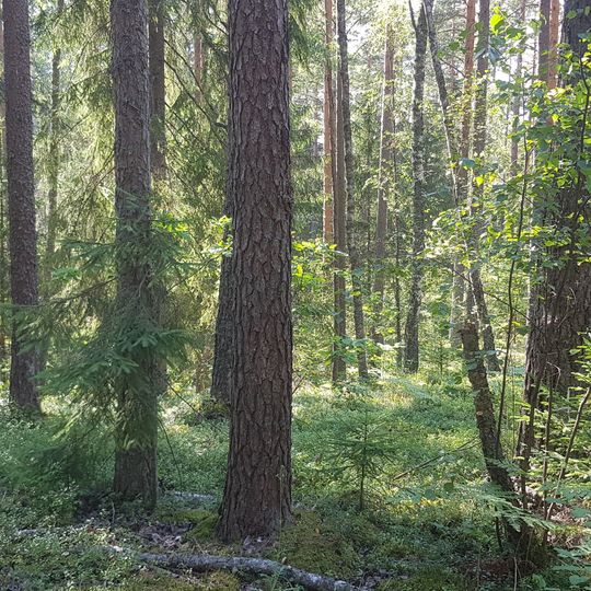 Driksnis Heath Nature Park