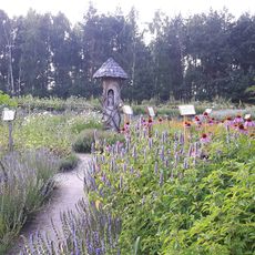 Ogród Botaniczny Podlaski Ogród Ziołowy