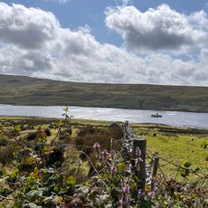 Ballynakill Lough