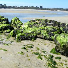 Quillimadec mouth gallery grave