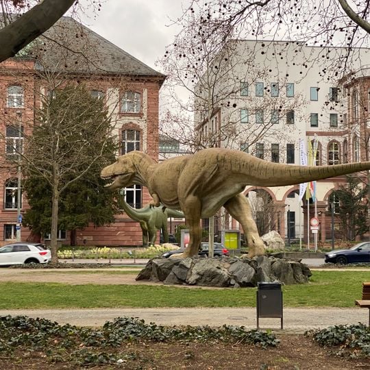 Museo de Senckenberg