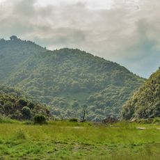 Waioweka Gorge Scenic Reserve